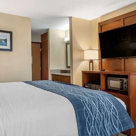 Comfort Inn & Suites Dimondale - Lansing Exterior foto
